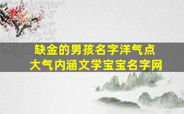 缺金的男孩名字洋气点 大气内涵文学宝宝名字网